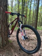 Canyon Lux Trail cf 6 