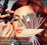 Profesjonalny zestaw 13 pędzli do makijażu