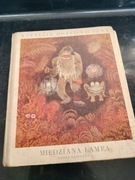 MIEDZIANA LAMPA KSIAZKA