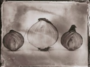 Ambrotypia - Hell's Kitchen 008