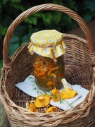 Kurkówka z miodem tymiankiem 250ml na pasożyty,Choroby wątroby,Huldy Clark