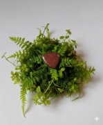 Wyjątkowy Jaspis Czerwony – Kaboszon Trójkątny