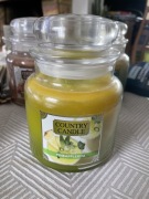 Country Candle świeca średnia 435g Pineapplerita dwa knoty USA 