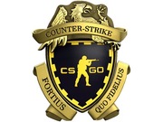 KONTO STEAM CS2 | PRIME | CS GO | PROMOCJA! OPIS!