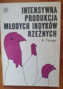 Intensywna produkcja młodych indyków rzeźnych Andrzej Faruga