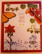 Świat motyli, autor: Rita Mabel Schiavo, twarda oprawa, bardzo duży format