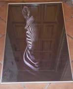 Obraz w ramię Zebra, fotografia w ramie, stan bardzo dobry
