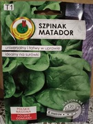 Szpinak 'Matador' na taśmie 