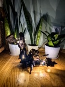 Drewniana świecąca dekoracja 