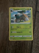 Karta Pokemon TORTERRA