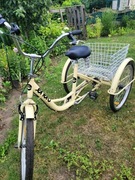 Rower trojkołowy z dużym koszem