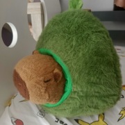 Maskotka kapibara nowa 