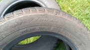 Opony zimowe Dębica 175/70R14