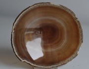 Miseczka z polerowanego agatu