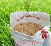 Pszenica Karma 25 kg 