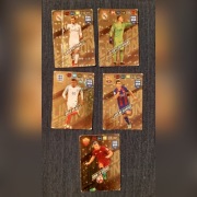 Karty Fifa Panini 356 limited edition