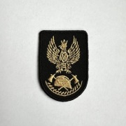 Orzełek na beret PSP