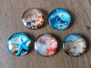 Zestaw 5 magnesów na lodówkę. Ocean