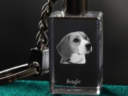 Beagle brelok sześcienny ŚWIECĄCY