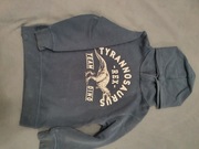 Bluza chłopięca rozmiar 110/116