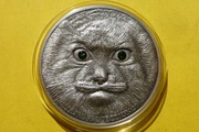 Kot Manul 2014 Mongolia 500 togrog srebrna 1 oz 