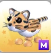 Ocelot M / Mega Roblox Adopt me