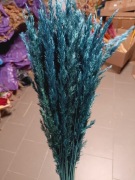 Trawa leśna granat ciemny trzcinnik zboże susz naturalne trawy na palmy 