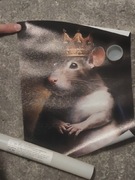 Plakat króla szczura