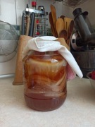 Grzybek herbaciany SCOBY kombucha