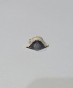 Lego - czapka admirała / gubernatora 2528pr0014