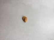 wisiorek z mlecznym bursztynem