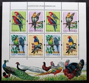 ARKUSZ 3967-3970, 2004, Egzotyczne ptaki hodowlane