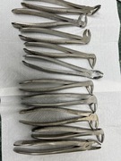 Kleszcz dentystyczne(Berten,Meissner)