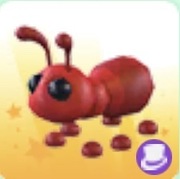 Adopt me- Ant -Common