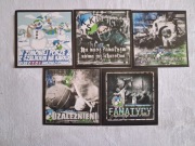 Vlepki KKS Kalisz #3