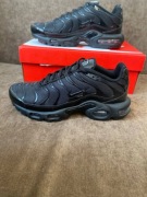 Nike Air Max Plus 604133-050