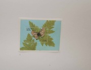 Erytrea Sw 141** motyle /ms/