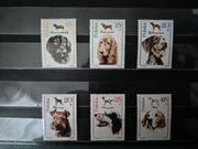 Fi 3049-3054** "Psy myśliwskie"