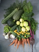 PACZKA NIESPODZIANKA "U_MUSZKI" - DZIELIMY SIĘ :)