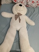 Maskotka miś 130 cm 0 +