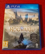 Gra na PS4 - Hogwart Legacy | Dziedzictwo Hogwartu - PL