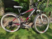 ROWER ALPINA M 20