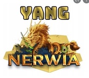 Nerwia 50W 50 WON 50KKK YANG 100% LEGIT EXPRESS DOSTAWA