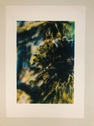 obraz, flowers, 297*420mm