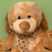 Piękny Pluszowy Miś