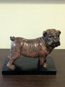 Wspaniała i duża figura Buldoga Francuskiego - realistyczna