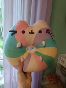 Pusheen donat tęczowy pączek 