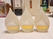 Kenzo Leaf Design mini 3szt