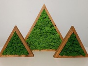 Obrazy z mchu chrobotka dekoracje 