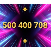 Złoty numer ____ 500 400 708 ____ Platynowy - ViP